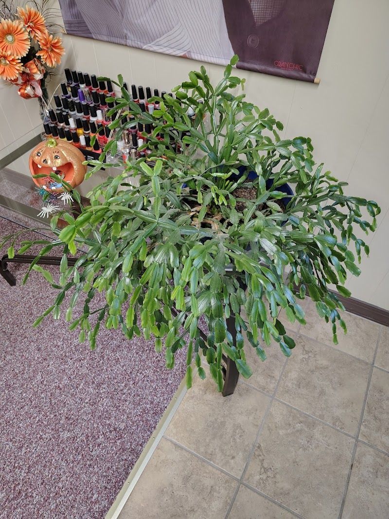 Something Else, beauty salon in Alton, IL, photo 2 of 3